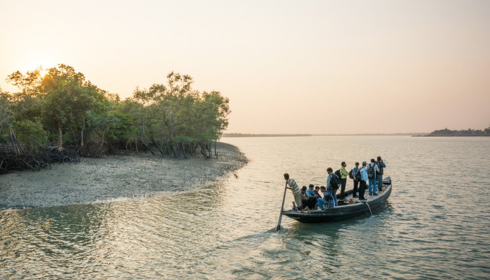 Sundarban Trip: Explore the Wilderness of the Largest Mangrove Forest